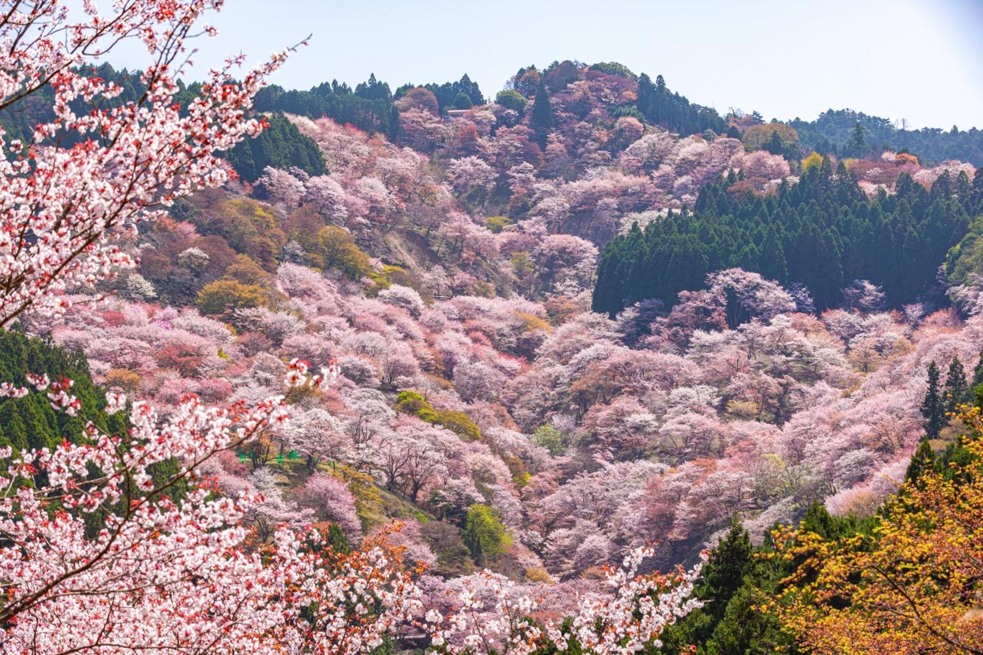 Marufukuro Hotel เกียวโต ภายนอก รูปภาพ